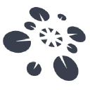 Hat Blink Probleme oder eine Störung?