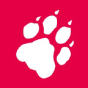 Hat tazde Probleme oder eine Störung?