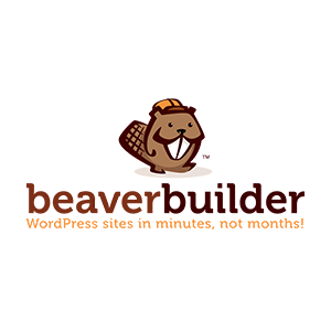 Hat WP Beaver Builder Probleme oder eine Störung?